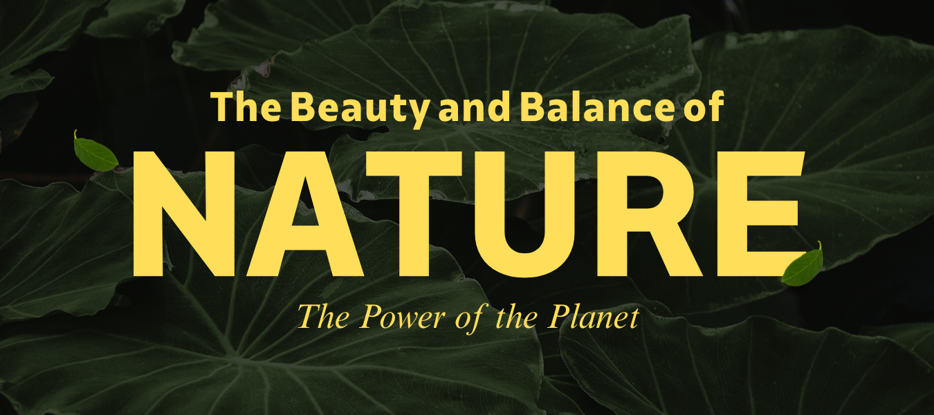 banner 2(1350 x 600 px)