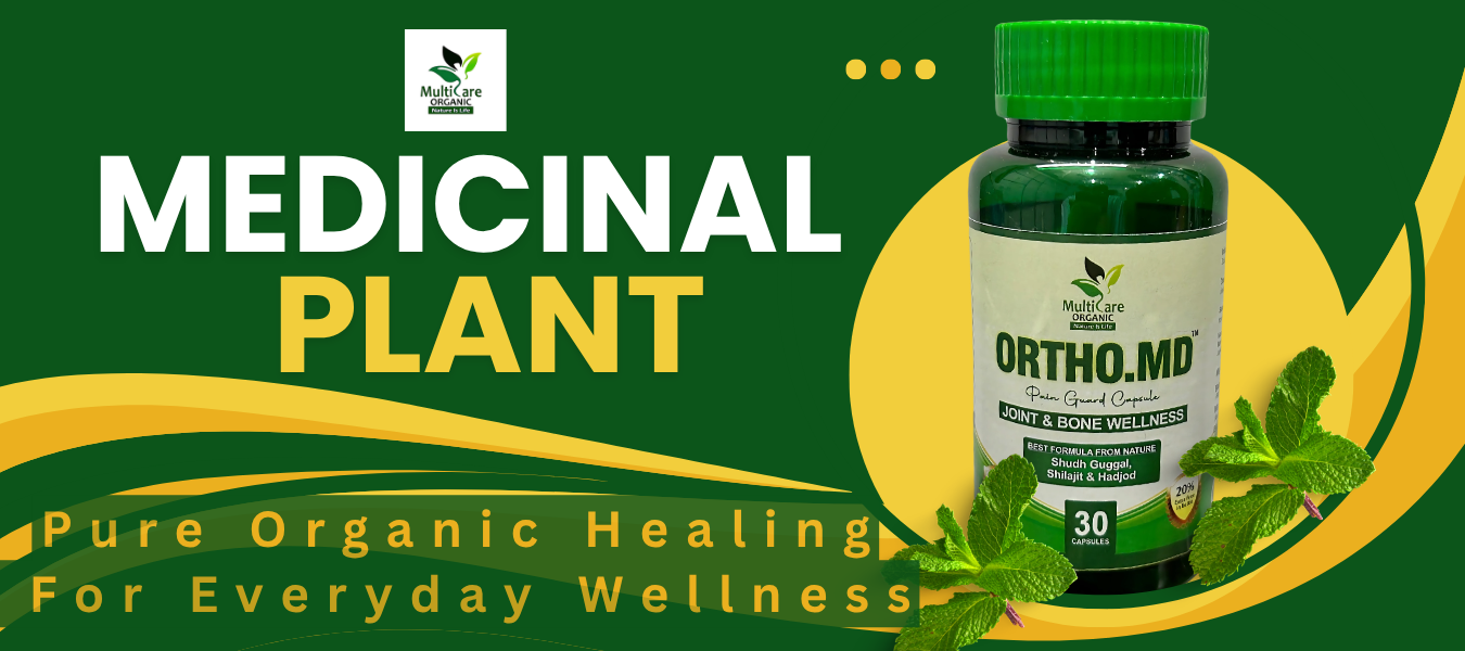 Green and Yellow Minimalist Medicinal Plant Presentation (1350 x 600 px)